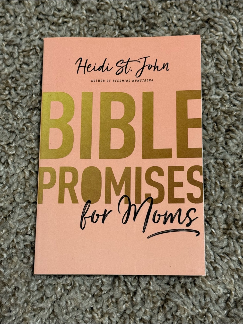 'Bible Promises for Moms'